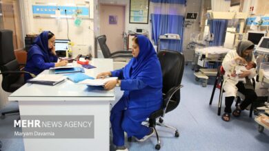درخواست جامعه پرستاری از سه قوه کشور - خبرگزاری مهر ایران و جهان